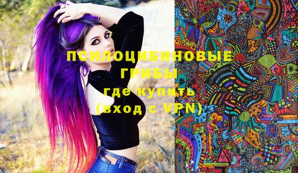 бутират Алзамай