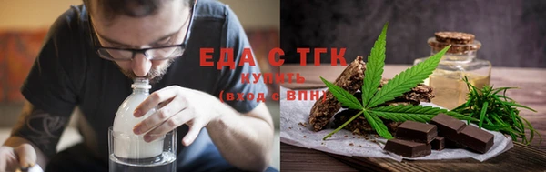 индика Новозыбков